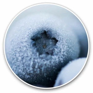 2 x Vinyl Stickers 20cm - Frozen Blueberries Fruit Winter Ice Cool Gift #21557 - Bild 1 von 9