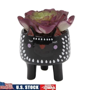 Künstliche Sukkulente in schwarzer Katze Keramik Übertopf Kunstpflanze Wohndeko Neu - Bild 1 von 6
