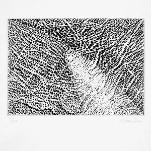 Stampa Originale Arte Acquaforte di Liberatore Collezionismo Home Decor 50x35cm - Picture 1 of 1