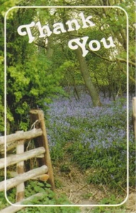 Packet of 6 Woodland scene Thank You cards +envelope - with Bible text - EB8802 - Picture 1 of 1