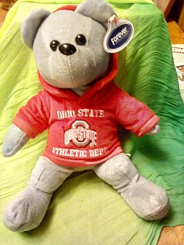 Forever Collectibles 13" Ohio State Buckeyes Plush Stuffed Gray Bear w/ Hoodie Cover