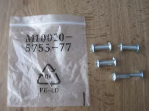 New in Original Packaging: Pack of 4 Bolts M10020-5755-77 Silver - Picture 1 of 2
