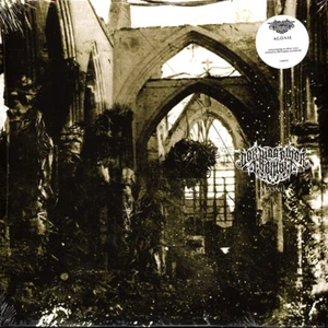 Der Weg Einer Freiheit - Agonie Silver Vinyl Edition (2011 - EU - Reissue) - Bild 1 von 2