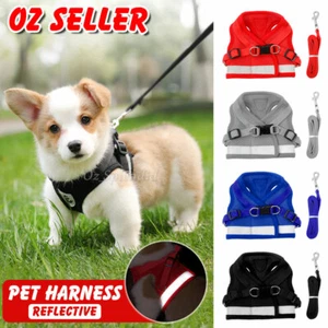 Kitten Dog Cat Harness and Leash for Walking Adjustable Soft Pet Vest Collar AU - Picture 1 of 12