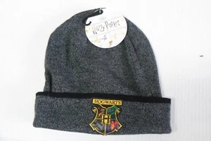 Harry Potter Wizardly World House Crested Beanie - Bild 1 von 4