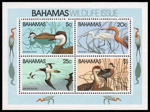 Bahamas 1981 - Mi-Nr. Block 34 ** - MNH - Vögel / Birds - Bild 1 von 1