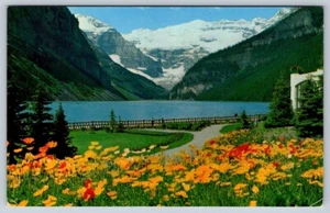 Blooming Poppies, Lake Louise, Banff National Park, 1966 Don Harmon Postcard - Imagen 1 de 2
