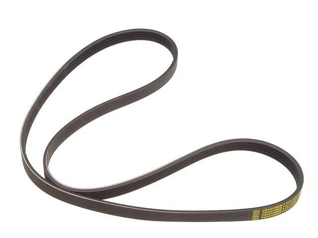 Cinturón multi costilla para Audi A4 Quattro 1997-2001 1,8 L 4 cil 1999 2000 1998 QK981MX Foto 1 de 1