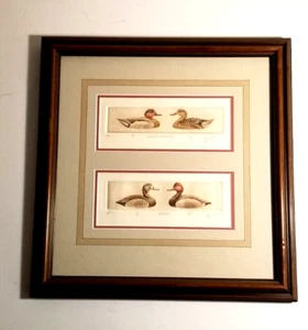 Sandy Scott Etching Prints Red Head & Green-Winged Teal Hand Signed Artist Proof - Picture 1 of 21