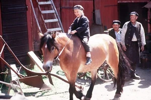 3 Filmfotos Pressemotive, MICHEL BRINGT DIE WELT IN ORDNUNG nach Astrid Lindgren - Bild 1 von 3