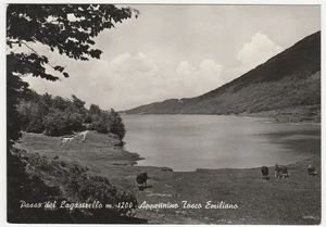 PASSO DEL LAGASTRELLO - PARMA - VIAGG. 1967 -31484- - Picture 1 of 1
