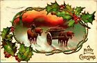 Holly Vine Border Horse Cart Winter A Merry Christmas Embossed 1909 DB Postcard