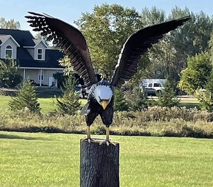 American Bald Eagle Large Outdoor Metal Statue Lawn Sculpture Garden Yard Art - Image 1 of 4