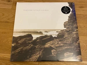 POLYGON WINDOW SURFING ON SINE WAVES CLEAR VINYL 3 LP 2025 WARP APHEX TWIN NEW - Picture 1 of 5