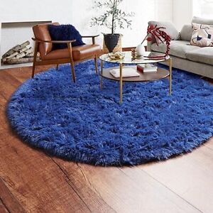Soft Round Area Rug for Bedroom Fluffy Circle Rug Kids Indoor Plush Rugs 4x4