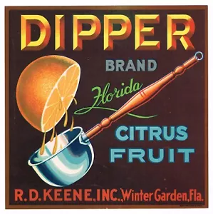 ORIGINAL KISTENETIKETT VINTAGE FLORIDA KIPPER UM 1930 9X9 ORANGE WINTER GARTEN KELLE - Bild 1 von 1