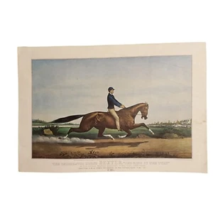 Currier & Ives Lithographie Nachdruck 1865 "DEXTER" Der gefeierte Pferde-Rasen-König - Bild 1 von 9