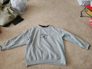 Embroidered Universal Studios Gray Sweatshirt - Kids Large - Picture 1 of 3