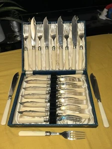 Vintage Cased Set Of 24 Silver Plated Fruit Knives & Forks Faux Bone Handles ✅ - Picture 1 of 14