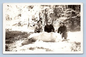 RPPC Men Posed with Elk Killed By Cougar Olympia Washington WA UNP Postcard Q5 - Picture 1 of 2