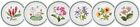 Portmeirion Exotic Botanic Garden Salad Plate With Plate, Multicolor