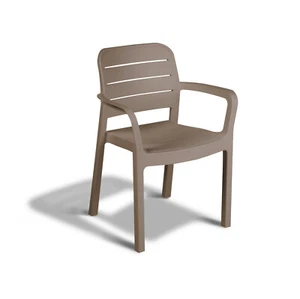 Sedia da giardino in plastica sedie pranzo esterno moderna con braccioli marrone - Foto 1 di 4