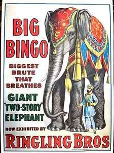 Vintage Circus Poster: Big Bingo the Two-Story Elephant, 1970s reprint, 1916 - Picture 1 of 12