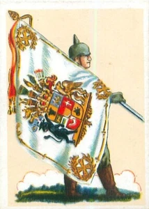 FAHNENTRÄGER FAHNE LANDWEHR REGIMENT NR89 I BATAILLON MECKLENBURG-SCHWERIN IMAGE - Picture 1 of 2