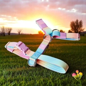Rainbow Dog Harness Spark Paws Comfort Control No Pull Dog Harnesses Pet Small - Picture 1 of 9