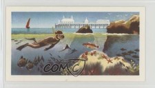 1974 Brooke Bond The Sea: Our Other World Tea Beach Wear #17 0v9