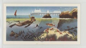 1974 Brooke Bond The Sea: Our Other World Tea Beach Wear #17 0v9