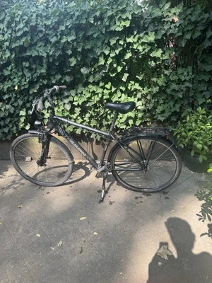 Triumph Trekking Bike, Fahrrad Herren, Narbenschaltung, 28 Zoll - Bild 1 von 4