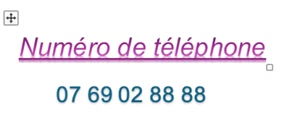 Numéro téléphone portable français VIP facile à retenir 07 66 80 00 09 - Zdjęcie 1 z 1
