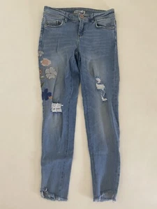 Zara Basic Jeans Womens 0 2 Blue Denim Pants Embroidered Poppies Floral - Picture 1 of 5