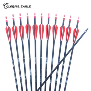 Flechas de carbono de tiro con arco de 28""/30""/31"" caza Sp500 para flecha de arco compuesto recurvo - Imagen 1 de 10
