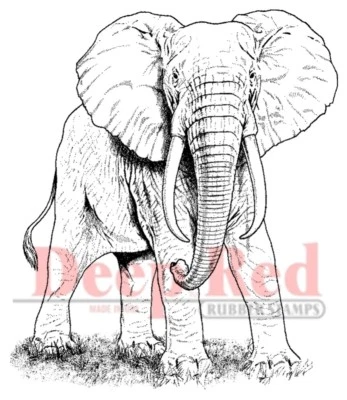 Deep Red Stamps African Elephant Rubber Cling Stamp - Image 1 of 3