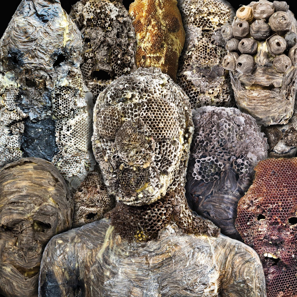 Metal Preyers - Shadow Swamps / Vinyl LP limited edition - Image 1 of 1