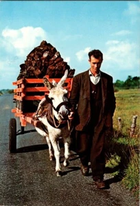 Irlanda burro y carro transporte carga pesada postales a82 - Imagen 1 de 2