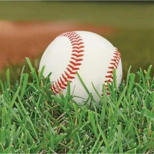 Paquete de 18 servilletas de almuerzo de béisbol fanáticas de los deportes decoraciones de fiesta de cumpleaños Foto 1 de 1