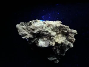 KB: RICH! SW FL YELLOW POWELLITE ON EPIDOTE MATRIX, TIERRA AMARILLA, CHILE - Picture 1 of 13
