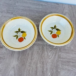 2 Vtg Mikasa Stone Manor TEMPTING Soup Cereal Bowl F5812 Fruit Apples Pottery - Picture 1 of 5