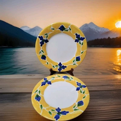 🌼 Juego de 2 platos de cena vintage Dansk St. Tropez pintados a mano Portugal 11,25" Foto 1 de 4
