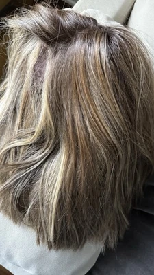 Simmer Elite de Raquel Welch en café helado Latte RL 9/24SS USADO + enderezado Foto 1 de 4