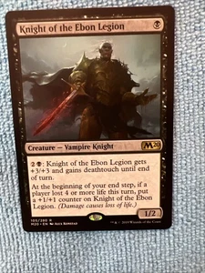 Knight of the Ebon Legion - Picture 1 of 10