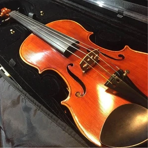 Violine Mathias Heinicke Geigenbauer Wildstein B. Eger 1990 4/4 & Koffer - Bild 1 von 4