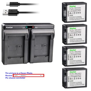 Kastar Battery Dual Charger for Panasonic DMW-BLB13 Lumix DMC-GF1K DMC-GF1EG - Picture 1 of 11