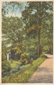 Biltmore NC Biltmore Haus und Gärten Fälle von Bass Lake Vintage Postkarte - Bild 1 von 2