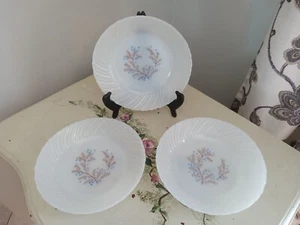 Vintage Thermocrisa mexikanische Pyrexblaue Blumen Suppenschalen - Bild 1 von 3