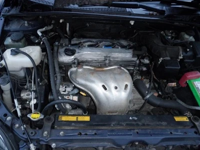 Passenger Right Front Door Glass Fits 05-10 SCION TC 27702971 Foto 1 de 4