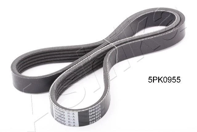 ASHIKA Courroie À Nervures Pour Mitsubishi Colt V Lancer VI Honda Accord IV - Photo 1/1